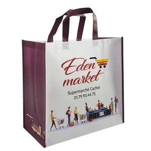 Factory Wholesale Large Capacity Waterproof Supermarket Non-woven Bag Reusable Double Handle Grocery Shopping Carry Bag