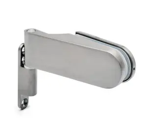 Russia hot sale aluminum frameless swing glass door pivot hinge for glass door