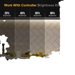 <span class=keywords><strong>2025</strong></span> mới hengyu chuyên nghiệp tốt nhất 5m 10m 12V 24V 220V COB dải ánh sáng bán buôn Chất lượng cao trong kho COB dẫn dải - Product Image 3
