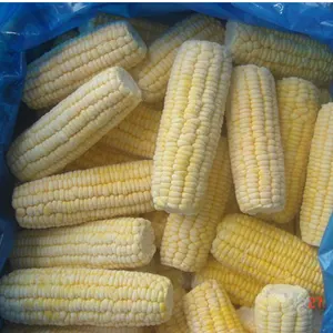 Delicious Yellow IQF Sweet Corn Whole 18-20cm Frozen Corn