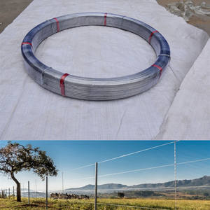 Varias especificaciones de alambre de acero ovalado 17/15 Z700 alambre de acero ovalado de alto carbono a <span class=keywords><strong>Uruguay</strong></span> - Product Image 2