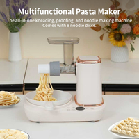Machine à pâtes multifonctionnelle 300W pour pétrir la pâte et presser les nouilles avec un bol en acier inoxydable de 5L pour la cuisine à domicile