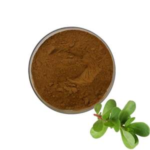 Bacopa Monnieri özü tozu içinde 20% -50% Bacopaside A + B <span class=keywords><strong>Portulaca</strong></span> <span class=keywords><strong>Oleracea</strong></span> özü - Product Image 4