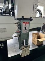 Robot de Traslación de Alta Velocidad OEM Personalizado BullHead 1200mm con Servo de Extracción Rápida y Viga de Aluminio para Moldeo de Contenedores de Pared Delgada