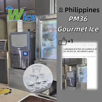 Machine à glace gourmet WICE 100KG Mquina Hielo Gourmet Facile à utiliser Économique en énergie Machine à glace gourmet haut de gamme