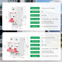 Disjoncteur miniature AC 2P 80A 1000A 125A 10KA, disjoncteurs électriques