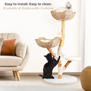 Gerçek ahşap Modern kedi ağacı kulesi katı ahşap tırmanma kulesi hasır kınamak kapalı kediler büyük yetişkin kedi tırmalama sütunu yatak lüks - Product Image 4