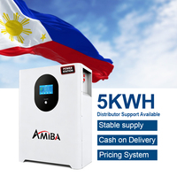 Batería de Litio AMIBA Manila Stock 51.2V 200Ah LiFePO4 10kWh, Batería de Litio de Pie para Almacenamiento de Energía en el Hogar, Ciclo Profundo, BMS Inteligente