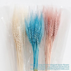 Composizioni Floreali Decorative Naturali Fatte a Mano con Fiori Secchi, Spighe di Grano e Accessori Floreali di <span class=keywords><strong>Orzo</strong></span> - Product Image 3