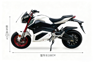 Motocicletta Elettrica con Pneumatici Larghi, Motore Centrale, Modello Popolare e Potente, Prezzo di Fabbrica, per Città e Montagna - Product Image 5