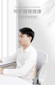 लंबर समर्थन तकिया पूरी तरह से संतुलित स्मृति फोम बहुमुखी उपयोग कम बैकरेस्ट - Product Image 3