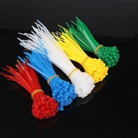 YDSL haute qualité Nylon 66 serre-câble couleur personnalisable autobloquant 12*760mm couleur naturelle longueur 760mm