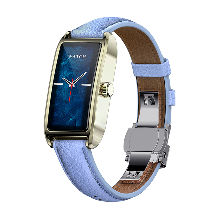 Silver + Blue Leather