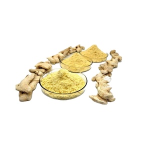 B.C.I Chức Năng Đồ Uống Gừng Bột Nước Hòa Tan Gừng Chiết Xuất Gingerol 1% Bột Gingerol - Product Image 1