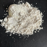 Poudre de métakaolin à performance stable pour la production de ciment et de béton