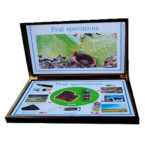 Gelsonlab HSGM-035 linge éducatif et spécimen <span class=keywords><strong>de</strong></span> produits pour les <span class=keywords><strong>cours</strong></span> <span class=keywords><strong>de</strong></span> géographie - Product Image 6