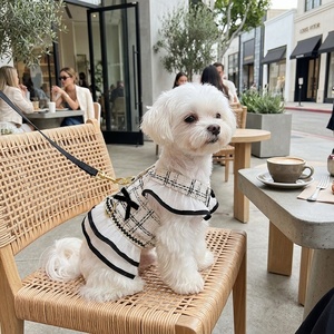 Conjunto de Lujo de Vestido y Arnés de Tweed para Mascotas con Correa 2 en 1, Chaleco Transpirable para Perros, Ropa Elegante para Cachorros y Gatos Pequeños - Product Image 1