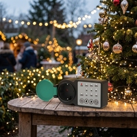 IP44 Wasserdichte Outdoor Mechanische Countdown-Timer-Steckdose mit 12-Stunden-Funktion für Gartenbeleuchtung und Bewässerung