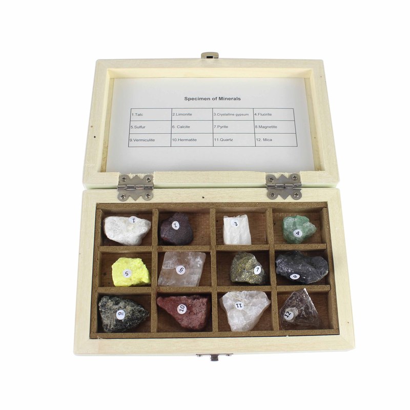 Educational 24PCS Specimen of Mineral and