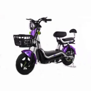350w 모터 전자 자전거 성인 16 인치 2 좌석 전자 자전거 전기 자전거 베스트 셀러 2020 새로운 부모-자식 전기 자전거