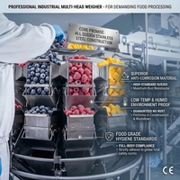 Industriële automatische VFFS verticale verpakkingsmachine met multihead weegsysteem voor IQF diepvriesfruit, gemengde groenten, erwten en maïs