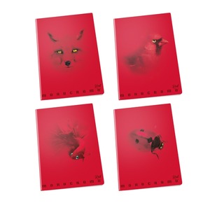 PIGNA - QUAD. MAXI MONOCROMO ROSSO 38 FOGLI A4 QUADRATI Elementi 1a 2a 3a ASS. - Product Image 1