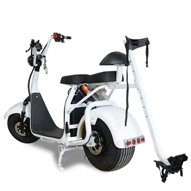 High Quality 1500W 2000W 60V 12Ah Citycoco Fat Tire Electric Scooter with Golf Racket for Golf Sport