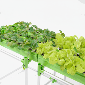 Écologique Hydroponique Aquaponique Multi-Span Agriculture Serre Agriculture Kit Grand Pot De Plantes Système Agriculture D'intérieur - Product Image 1