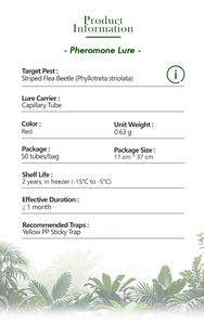 فيلوترا ستريولاتا الجنس فيرومون إغراء الفخاخ لشريط برغوث السيطرة خنفساء بيئة بيئة صلبة جاذبة الآفات - Product Image 2