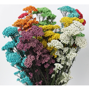 Flor de arroz artificial de alta calidad, flor de arroz <span class=keywords><strong>real</strong></span> conservada, China - Product Image 1