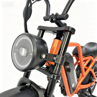 Vélo électrique 7 vitesses, freins à disque mécaniques, pneus 16 pouces, phares avant, suspension avant, 60 km d'autonomie, batteries lithium 48V 500W