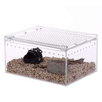 Boîte de transport pour reptiles transparente personnalisée avec couvercle coulissant, design moderne, plateau en plastique pour l'élevage des reptiles