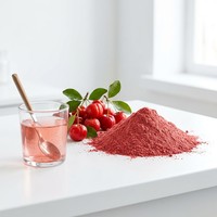 Poudre de cerise Acerola FVP-5 Premium 100% soluble dans l'eau, poudre de fruit de cerise instantanée riche en vitamine C pour les boissons et les aliments