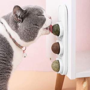 Hierba gatera Natural para gatos, juguete recargable para el cuidado Dental, Limpieza de dientes, bolas de pared comestibles, juguete giratorio para lamer para gatito - Product Image 5