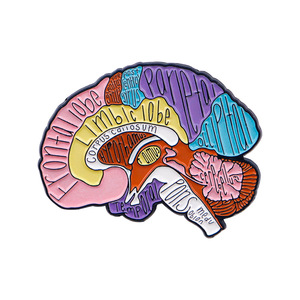 Broche de Esmalte Anatômico Médico de Órgãos Humanos (Cérebro, Coração, Pulmão) e Estetoscópio, Pin de Lapela em Liga para Médicos, Enfermeiros e Mochilas - Product Image 3