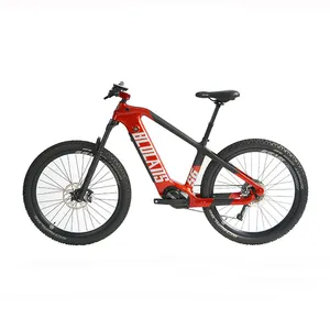 जहाज के लिए तैयार Bafang m600 g521.36v 350w मध्य ड्राइव मोटर कार्बन फाइबर ebike फ्रेम छिपा घोड़ा बैटरी साइकिल बिजली बाइक