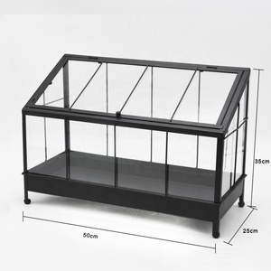 Modernes Metall glas Sukkulenten <span class=keywords><strong>terrarium</strong></span>, Innen haus und Garten Mini Metall glas <span class=keywords><strong>Terrarium</strong></span> Gewächshaus für Blumen pflanze - Product Image 3
