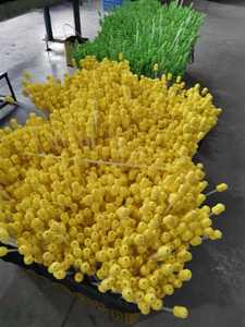 สายสวนปลายโฟมสำหรับสุกร EVA ปลายสายสวนหรือการอนุมานสำหรับสุกร - Product Image 3