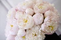 Nouveauté, grande quantité, fleur éternelle pour cadeau, fleur éternelle avec longue tige, pivoine rouge rose conservée dans une boîte