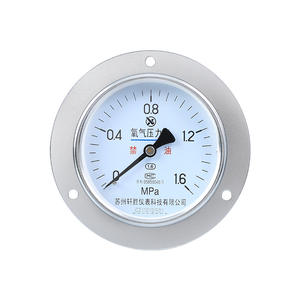 Manómetro de Oxígeno Suzhou Xuansheng YO100ZT de 100 mm, Acero Inoxidable, Montaje en Panel, Sin Aceite - Product Image 1