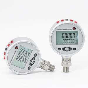 Calibrateur intelligent OEM d'usine avec écran LCD, précision 0,05 % F.S, plage de précision 0,05 % (-0,1-250 Mpa), garantie 1 an - Product Image 2