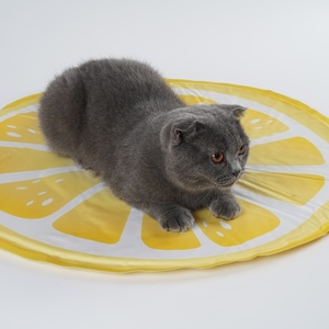 Zusammen klappbare Sommer kühlung Katzen hunde pads Komfortable Polyester gewebe Tier muster Eisse ide Cartoon Print Haustier betten für Hunde - Product Image 5