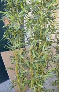 Planta Artificial <span class=keywords><strong>de</strong></span> Bambú <span class=keywords><strong>de</strong></span> 120-300 cm <span class=keywords><strong>para</strong></span> Decoración del Hogar, Planta Artificial <span class=keywords><strong>de</strong></span> Bambú <span class=keywords><strong>de</strong></span> un Solo Tronco en Maceta Grande <span class=keywords><strong>de</strong></span> Plástico <span class=keywords><strong>para</strong></span> Interiores - Product Image 6