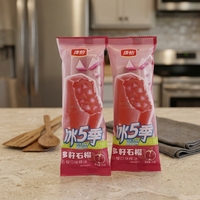 Kangyi 2026 Nouvelle Vente Chaude Glaces à la Grenade en Gros