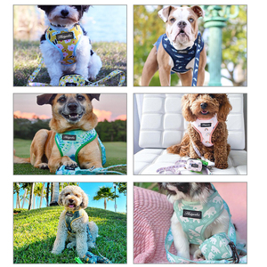 ชุดสายจูงสุนัขแบบปรับได้พร้อมแผ่นรองรับ ลายพิมพ์ดอ<span class=keywords><strong>ก</strong></span>ไม้ Sassy Woof วัสดุนีโอพรีน พร้อมโลโ<span class=keywords><strong>ก</strong></span>้<span class=keywords><strong>ลูก</strong></span>สุนัข สายจูงสุนัขแบบไม่รัดคอ - Product Image 2