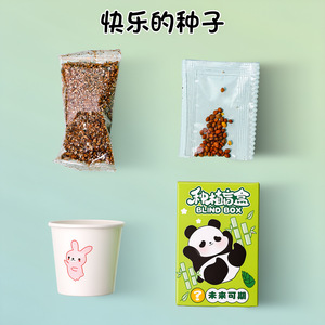Caja Sorpresa Panda Planting con Plantas en Maceta de 7cm, Semillas de Flores para Oficina, Observación del Crecimiento, Regalo DIY - Product Image 4