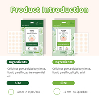 Fruitvormige puistpleisters, schattig design, acne, 24 stuks stickers, hydrocolloïde, leuke decoratieve, waterdichte pleisters voor het gezicht