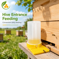 Bouteille d'alimentation pour abeilles de 500 ml avec bouchons anti-étouffement, remplissage facile par l'entrée, mangeoire transparente pour ruche, équipement d'apiculture