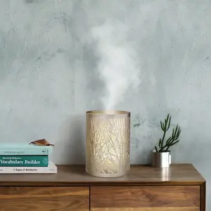 Più nuovo ferro diffusore di aroma da tavolo moderna 100ml diffusore ha condotto la luce della decorazione della casa