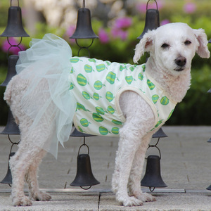 Vestido ligero de verano para mascotas, falda tutú estilo princesa para perros pequeños, ropa para perros Bichon Frise Teddy, traje de verano - Product Image 1